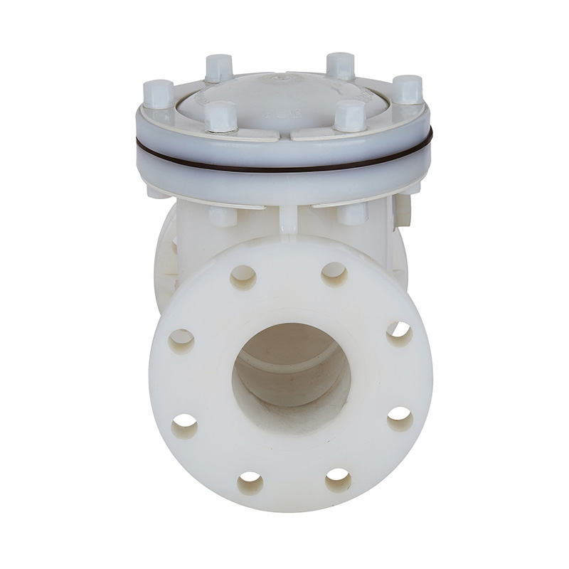 PVDF H44F-10F 스윙형 체크 밸브 DN15-300 GB 표준