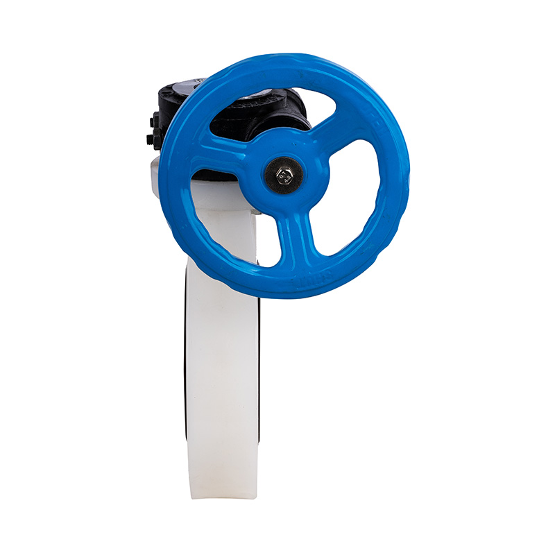 PVDF D371X-10F 웜 기어 버터플라이 밸브 DN40-1000 40A-1000A JIS 표준