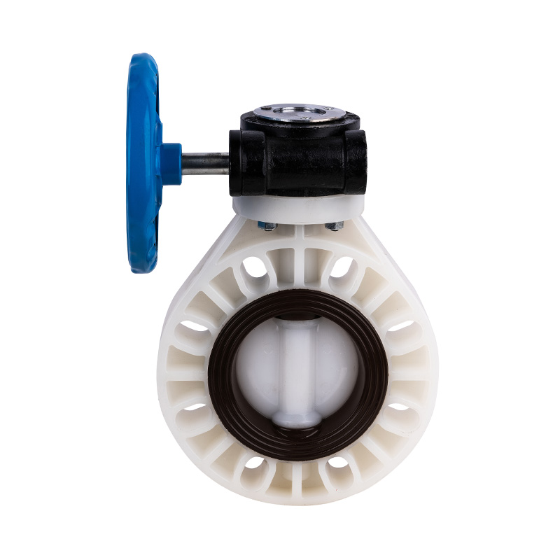PVDF D371X-10F 웜기어 버터플라이 밸브 DN32-1000 GB 표준