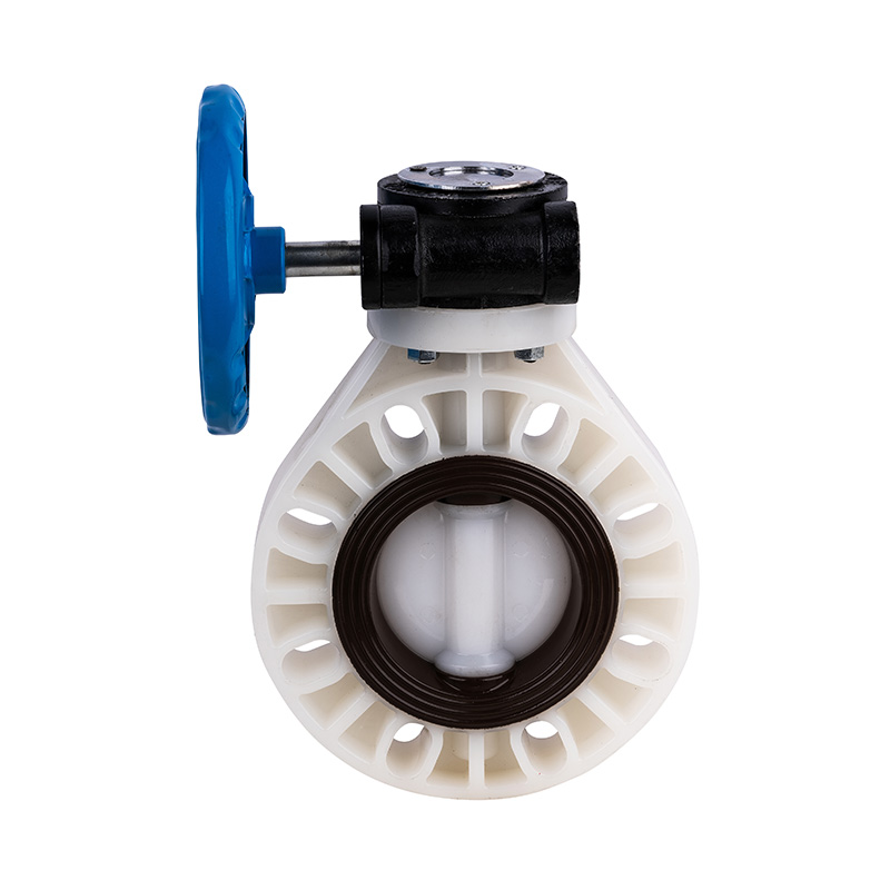 PVDF D371X-10F 웜 기어 버터플라이 밸브 DN40-1000 40A-1000A JIS 표준
